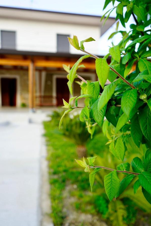 Bed and Breakfast Atomos Alvignano Exterior foto